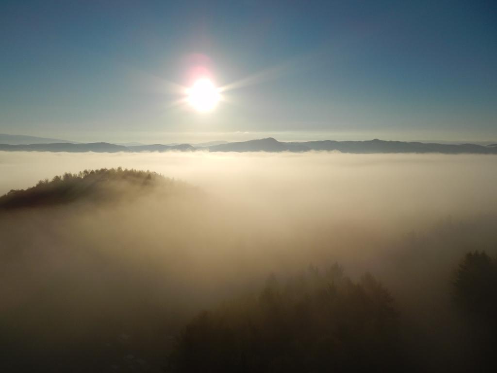 Shin Furano Prince Hotel Ngoại thất bức ảnh Fog over the Black Forest